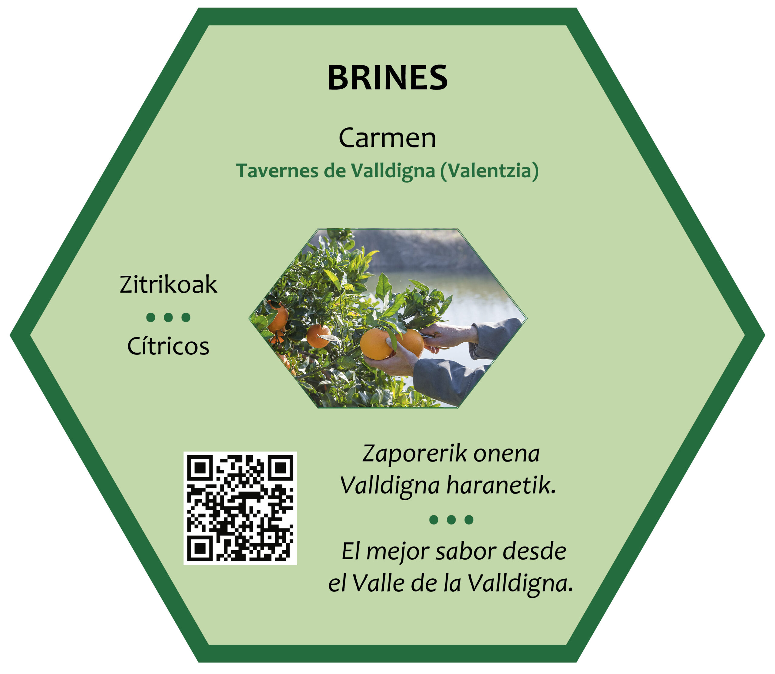 BRINES