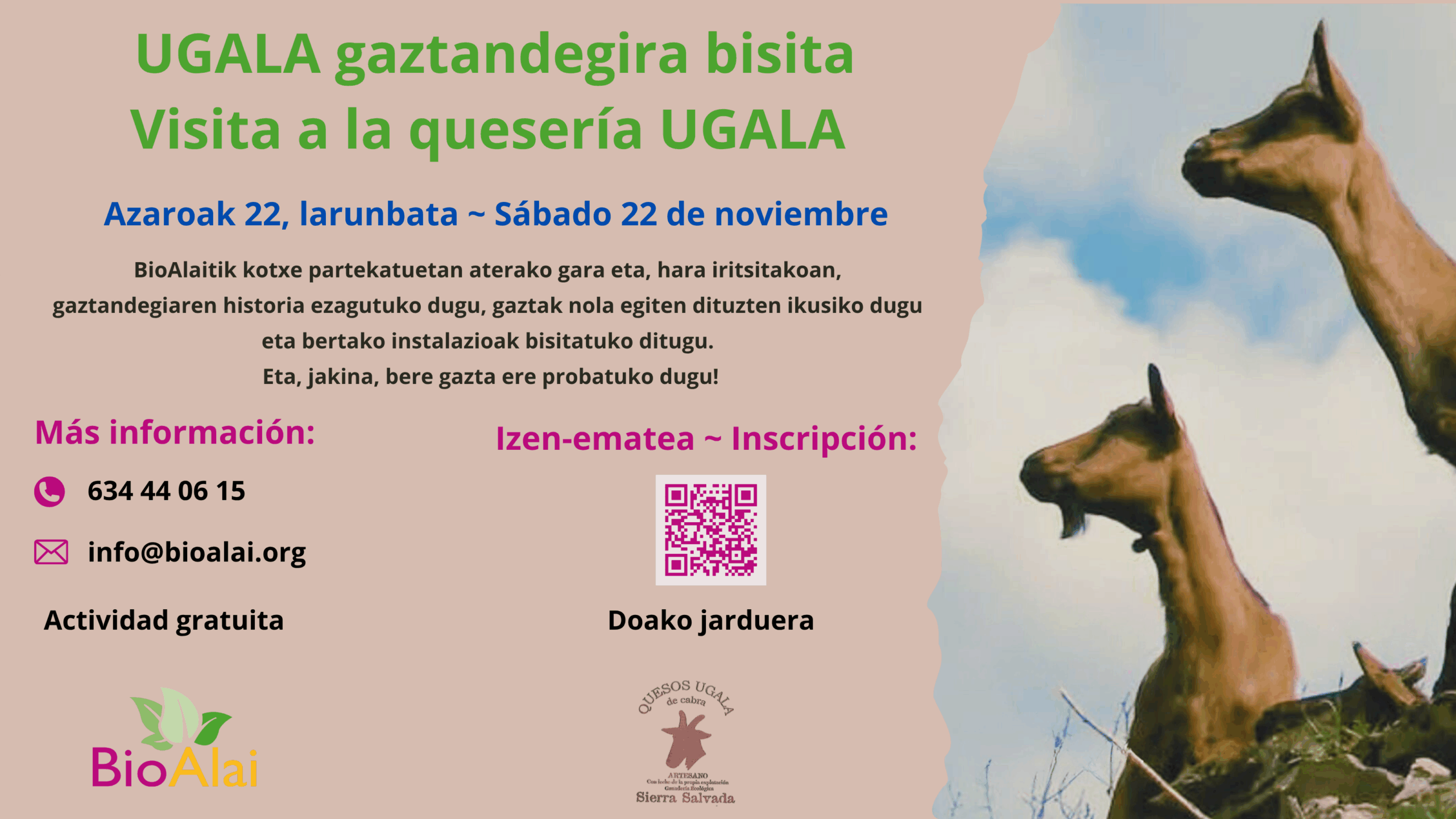 Copia de Copia de Copia de Visita TPT (2)