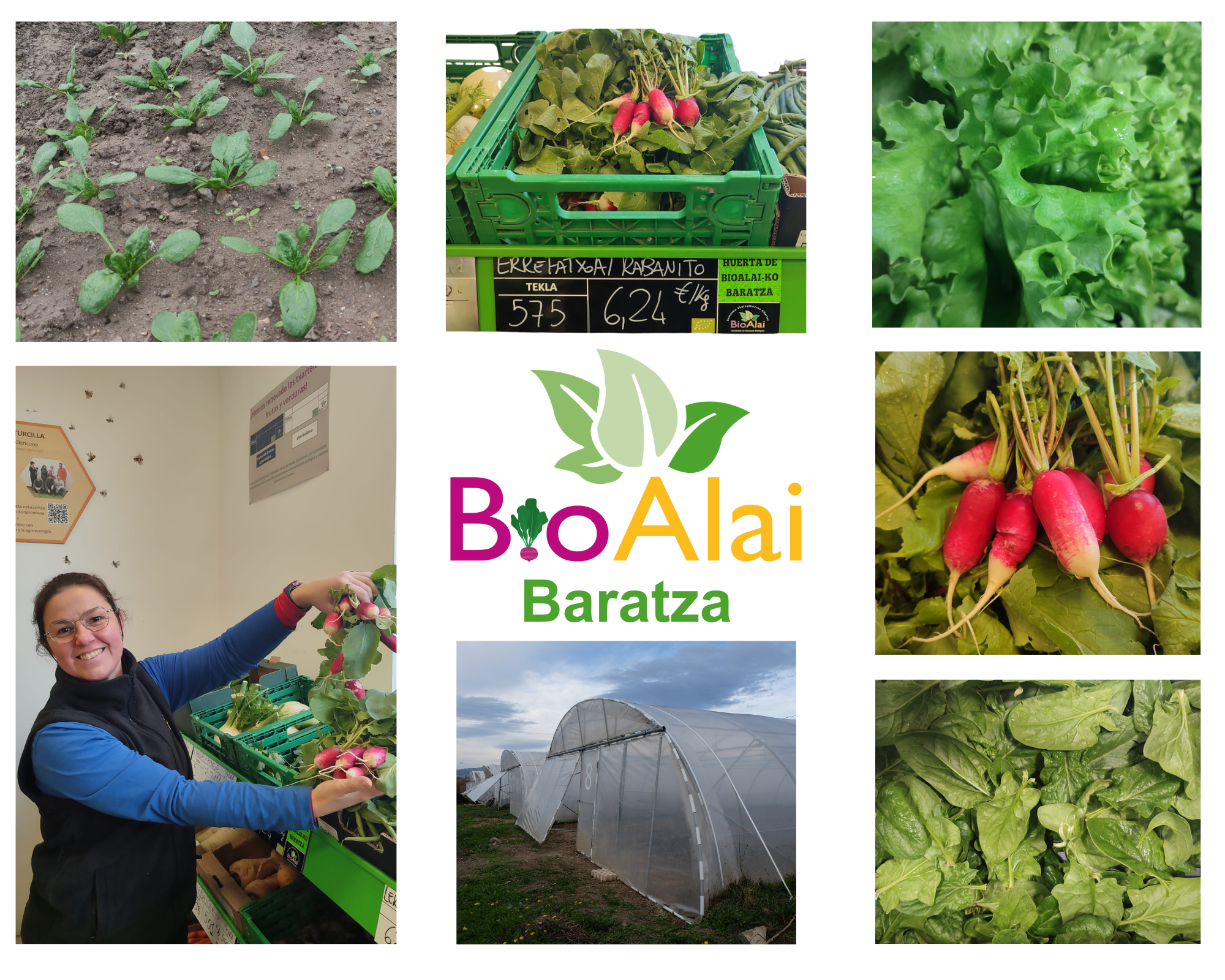 Blue Summer Mood Photo Collage (3)